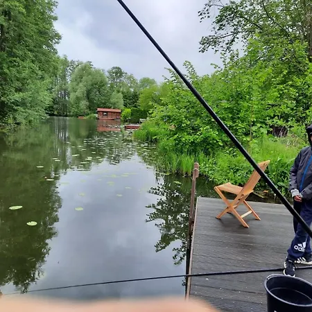 Alt-berliner Schwanenhof Og Links Лихен